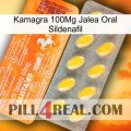 Kamagra 100Mg Oral Jelly Sildenafil new05